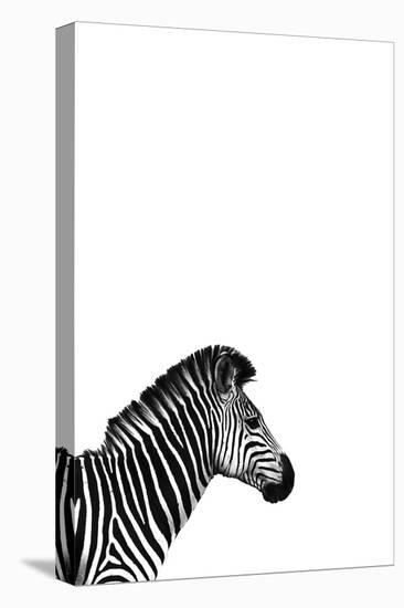 Zebra 2-Incado-Premier Image Canvas