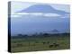 Zebra and Wildebeest under Mt. Kilimanjaro, Amboseli National Park, Kenya-Paul Souders-Premier Image Canvas