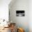 Zebra Anemonie Shrimp-Bernard Radvaner-Premier Image Canvas displayed on a wall