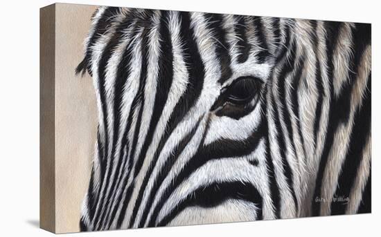 Zebra Eyes-Sarah Stribbling-Stretched Canvas