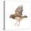 Zebra Finch Flying, Taeniopygia Guttata, against White Background-Life on White-Premier Image Canvas