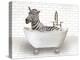 Zebra In Bathtub-Matthew Piotrowicz-Stretched Canvas