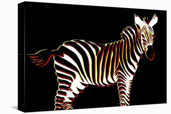 Zebra in Black Horizontal-Ikuko Kowada-Premier Image Canvas