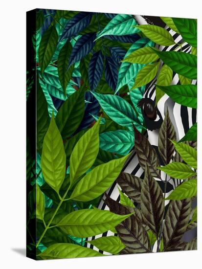 Zebra in Green Leaves-Fab Funky-Stretched Canvas