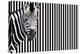 Zebra on Striped Background, Looking at Camera-null-Stretched Canvas