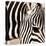 Zebra Pattern-Frank & Susann Parker-Stretched Canvas