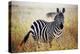 Zebra Portrait On African Savanna. Safari In Serengeti, Tanzania-Michal Bednarek-Premier Image Canvas