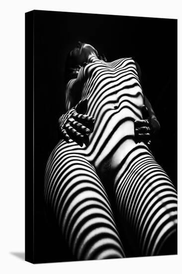 Zebra Shadow-Mikhail Faletkin-Premier Image Canvas