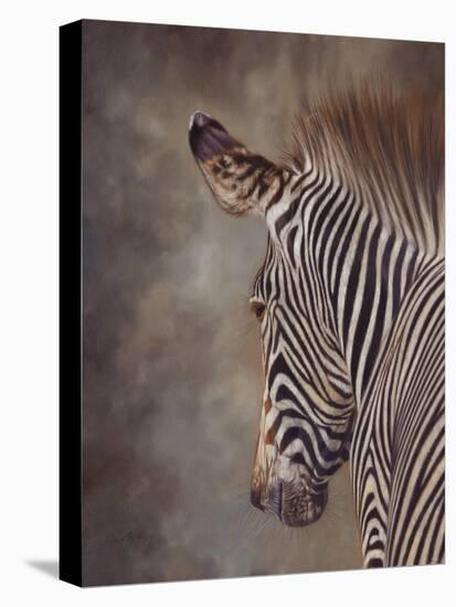 ZEBRA SIDE FINAL-David Stribbling-Stretched Canvas