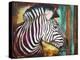 Zebra Stripes-Corina St. Martin-Premier Image Canvas