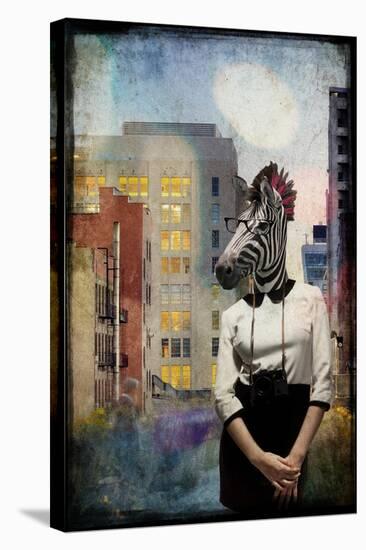 Zebra Strolling the High Line-null-Premier Image Canvas