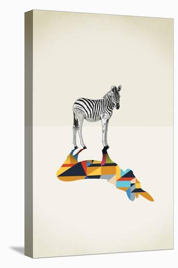 Zebra - Walking Shadows-Jason Ratliff-Premier Image Canvas