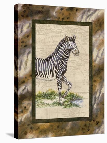 Zebra-Janet Kruskamp-Stretched Canvas
