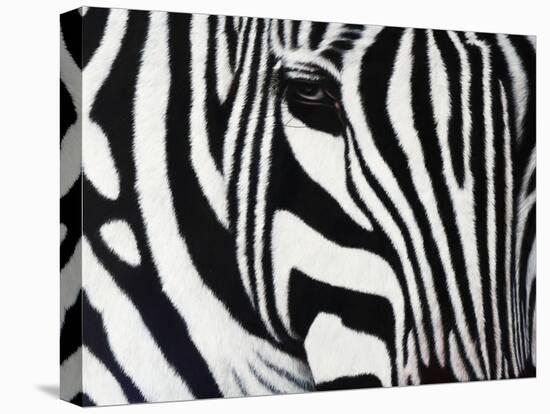 Zebra-null-Premier Image Canvas