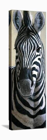 Zebra-Jeremy Paul-Premier Image Canvas