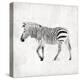 Zebra-OnRei-Stretched Canvas