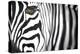 Zebra-Cherie Roe Dirksen-Premier Image Canvas