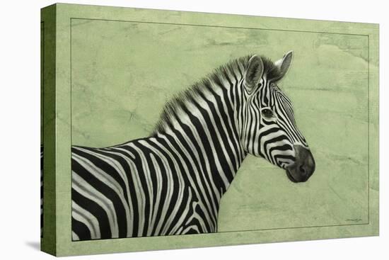 Zebra-James W. Johnson-Premier Image Canvas