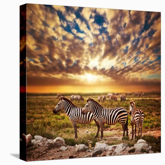 Zebras Herd on Savanna at Sunset, Africa. Safari in Serengeti, Tanzania-Michal Bednarek-Premier Image Canvas