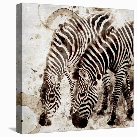Zebras-Kimberly Allen-Stretched Canvas