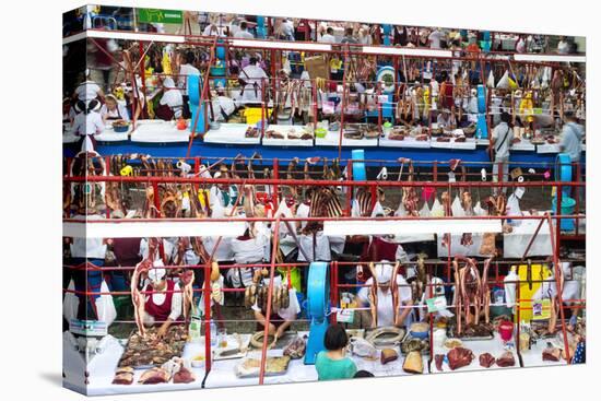 Zelyony Bazar (Green Market), Meat Market, Almaty, Kazakhstan, Central Asia, Asia-G&M Therin-Weise-Premier Image Canvas