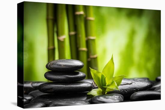 Zen Basalt Stones and Bamboo-scorpp-Premier Image Canvas