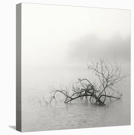 Zen Lake-Nicholas Bell-Premier Image Canvas