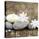 Zen Pebbles-null-Premier Image Canvas