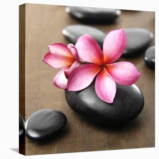 Zen Pebbles-null-Premier Image Canvas