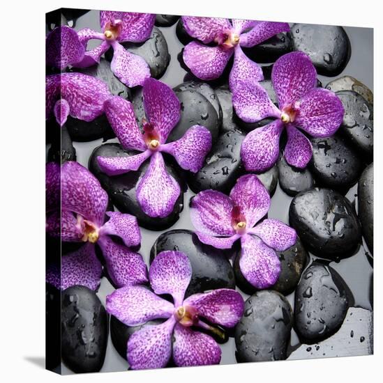 Zen Pebbles-PhotoINC Studio-Stretched Canvas