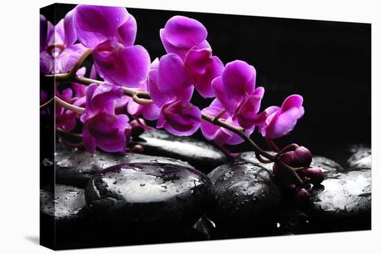 Zen Stone and Pink Orchid with Reflection-crystalfoto-Premier Image Canvas