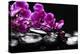 Zen Stone and Pink Orchid with Reflection-crystalfoto-Premier Image Canvas