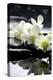 Zen Stones And Branch White Orchids With Reflection-crystalfoto-Premier Image Canvas
