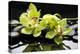 Zen Stones and Green Orchids with Water Drops-crystalfoto-Premier Image Canvas