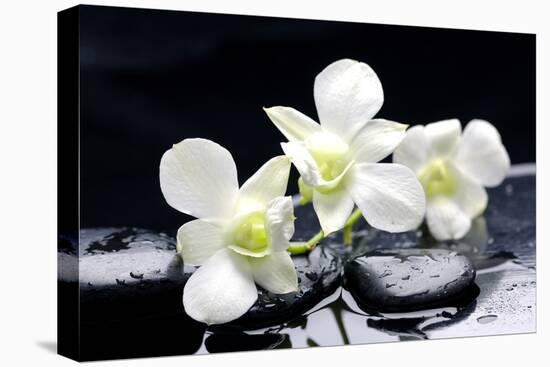 Zen Stones and Tiger's Orchids with Water Drops-crystalfoto-Premier Image Canvas