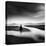 Zen Stream-George Digalakis-Premier Image Canvas