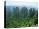 Zhangjiajie Forest Park in Wulingyuan Scenic Area in Hunan Province, China-Robert Francis-Premier Image Canvas