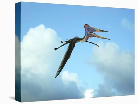 Zhejiangopterus, a Genus of Azhdarchid Pterosaur-null-Stretched Canvas