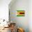 Zimbabwe Flag Design with Wood Patterning - Flags of the World Series-Philippe Hugonnard-Stretched Canvas displayed on a wall