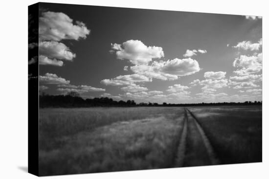 Zimbabwe, View of Road Near Linkwasha Airstrip-Stuart Westmorland-Premier Image Canvas