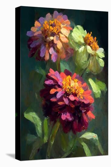 Zinnia Flowers I-Vivienne Dupont-Stretched Canvas