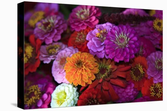 Zinnia's at a Farmer's Market in Savannah, Savannah, Georgia, USA-Joanne Wells-Premier Image Canvas