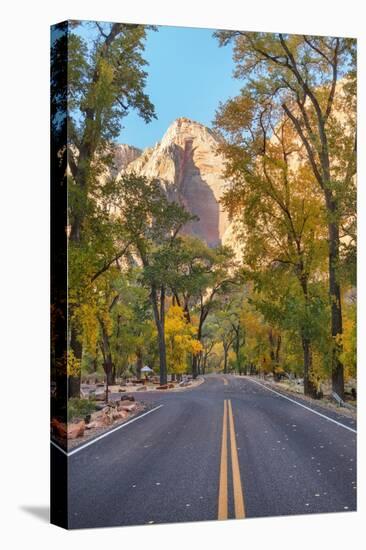 Zion Canyon Road Zion National Park, Utah-Alan Majchrowicz-Premier Image Canvas