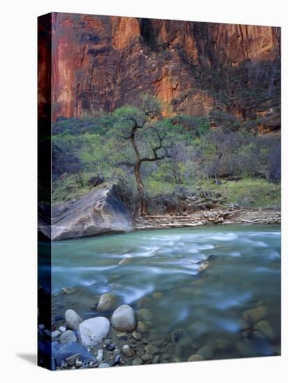 Zion Canyon, Zion National Park, Utah, USA-Scott T^ Smith-Premier Image Canvas