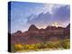 Zion National Park, Utah, USA-Cathy & Gordon Illg-Premier Image Canvas