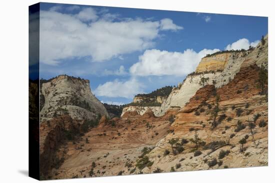 Zion National Park-Ken Archer-Premier Image Canvas