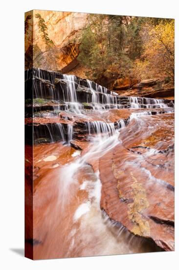 Zion NP, Utah, USA: Archangel Waterfall (Cascades) River Forks Off North Creek Along Hike To Subway-Axel Brunst-Premier Image Canvas