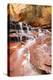 Zion NP, Utah, USA: Archangel Waterfall (Cascades) River Forks Off North Creek Along Hike To Subway-Axel Brunst-Premier Image Canvas