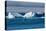 Zodiac cruising back to a cruise ship anchoring behind an iceberg, Brown Bluff, Antarctica, Polar R-Michael Runkel-Premier Image Canvas