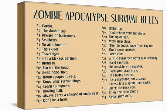 Zombie Apocalypse Rules Movie-null-Stretched Canvas